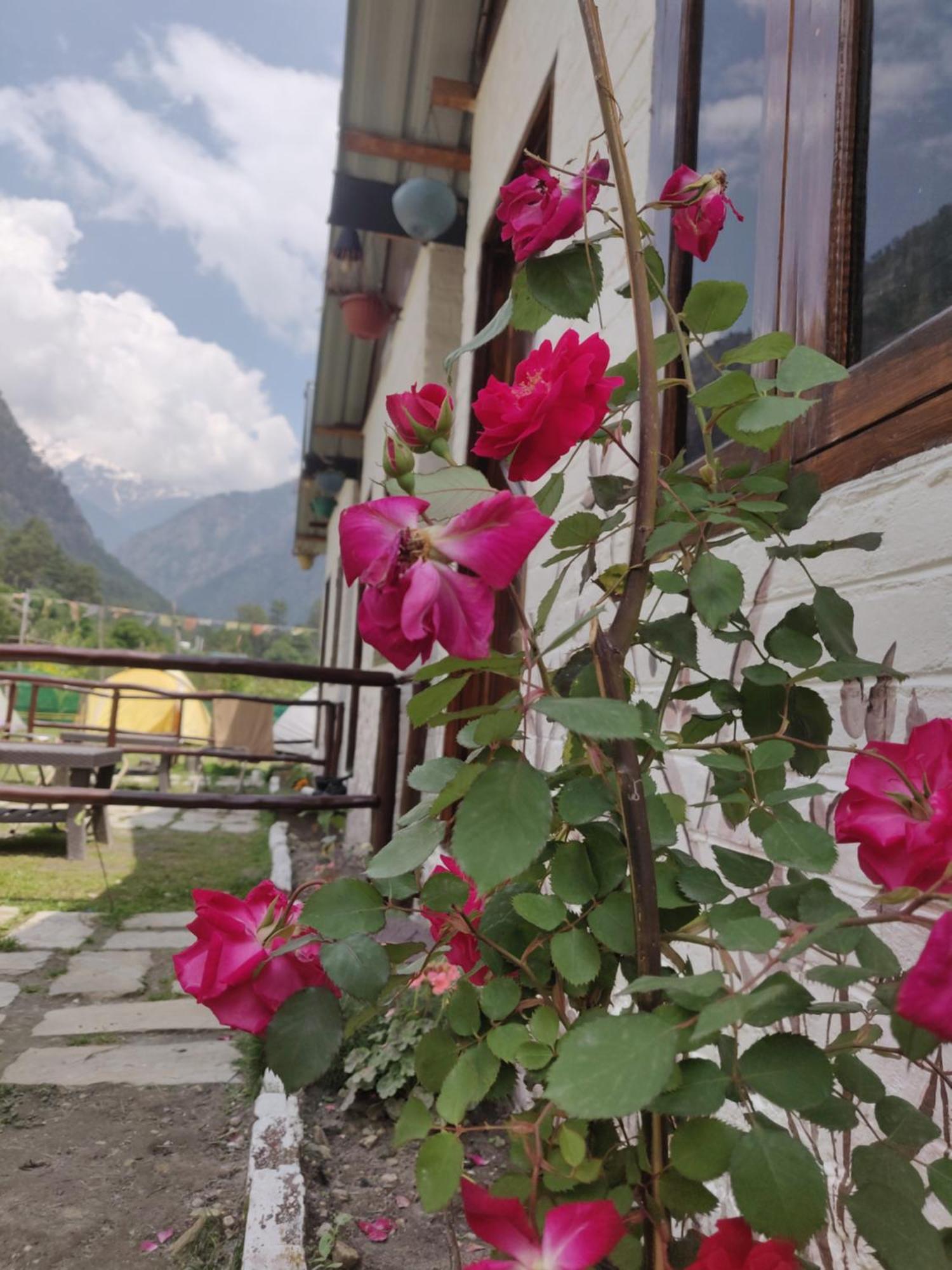 Himtrek Stays, Kasol Ngoại thất bức ảnh